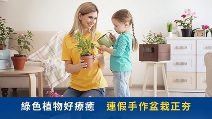 綠色植物好療癒 連假手作盆栽正夯