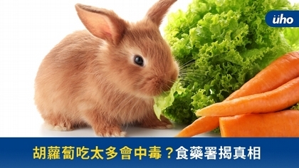 胡蘿蔔吃太多會中毒?食藥署揭真相