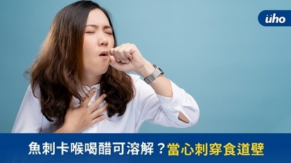 魚刺卡喉喝醋可溶解?當心刺穿食道壁