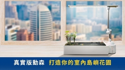 真實版動森 打造你的室內島嶼花園