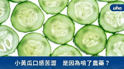 小黃瓜口感苦澀 是因為噴了農藥?