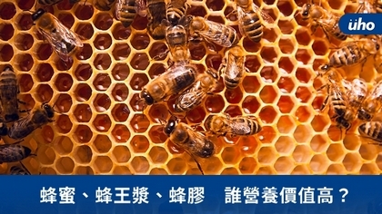 蜂蜜、蜂王漿、蜂膠 誰營養價值高?