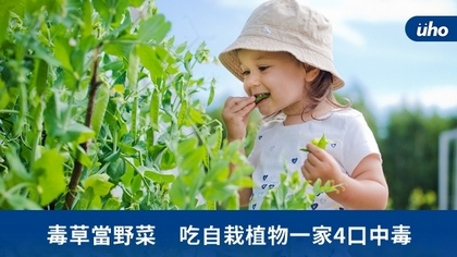 毒草當野菜 吃自栽植物一家4口中毒