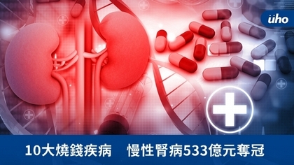 10大燒錢疾病 慢性腎病533億元奪冠