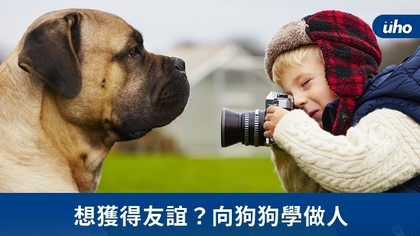想獲得友誼?向狗狗學做人