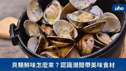 貝類鮮味怎麼來?認識潮間帶美味食材