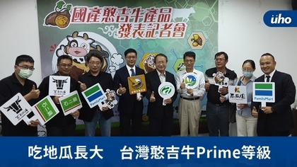 吃地瓜長大 台灣憨吉牛Prime等級