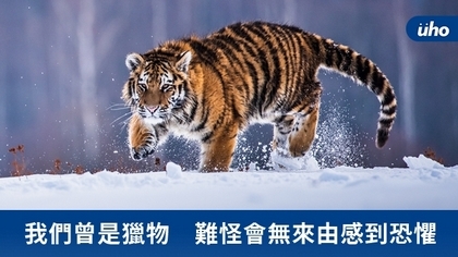 我們曾是獵物 難怪會無來由感到恐懼