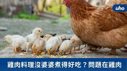 雞肉料理沒婆婆煮得好吃?問題在雞肉