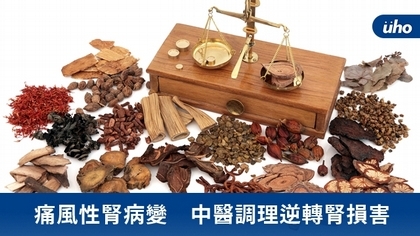 痛風性腎病變 中醫調理逆轉腎損害