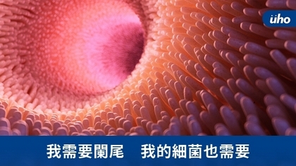 我需要闌尾 我的細菌也需要