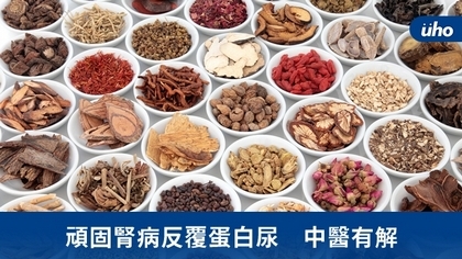 頑固腎病反覆蛋白尿 中醫有解