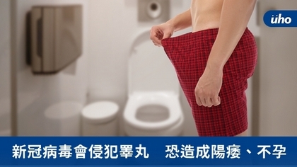 新冠病毒會侵犯睪丸 恐造成陽痿、不孕