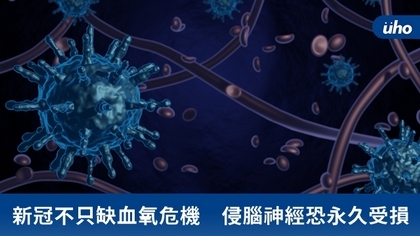 新冠不只缺血氧危機 侵腦神經恐永久受損