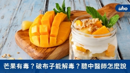 芒果有毒?破布子能解毒?聽中醫師怎麼說