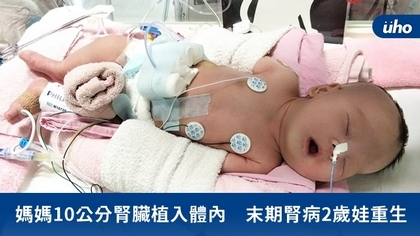 媽媽10公分腎臟植入體內 末期腎病2歲娃重生