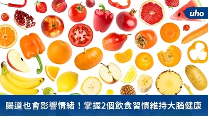 腸道也會影響情緒!掌握2個飲食習慣維持大腦健康