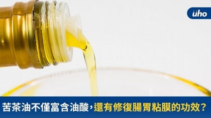 苦茶油不僅富含油酸,還有修復腸胃粘膜的功效?
