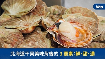 北海道干貝美味背後的3要素:鮮、甜、濃