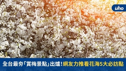 全台最夯「賞梅景點」出爐!網友力推看花海5大必訪點