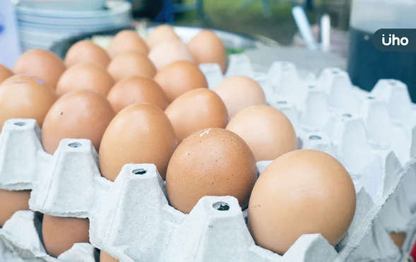 有圖解》雞蛋編號怎麼看？「這兩種號碼」千萬別買：小心吃到監獄蛋