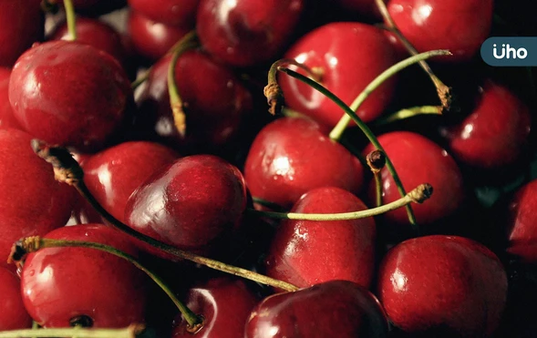 吃櫻桃可以補血？櫻桃功效禁忌一次看：教你「1口訣」挑櫻桃才新鮮