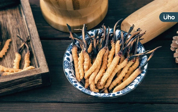 冬蟲夏草是蟲還是草？冬蟲夏草怎麼吃？盤點功效、營養價值及禁忌